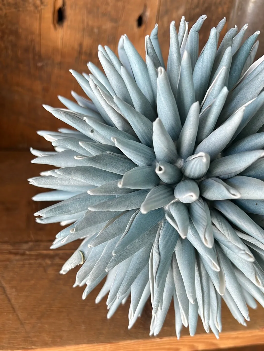 Foam Spike Blue Orb Large