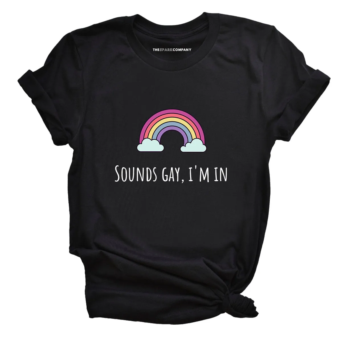 Sounds Gay I'm In Pride LGBTQ  Pride T-Shirt
